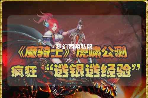 夢(mèng)幻西游私服