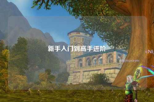 新手入門(mén)到高手進(jìn)階