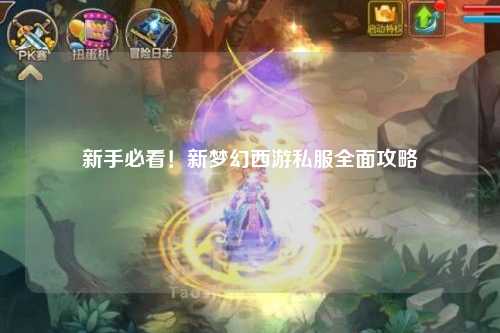 新手必看！新夢(mèng)幻西游私服全面攻略