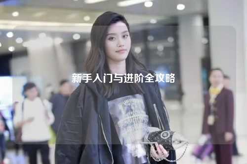 新手入門(mén)與進(jìn)階全攻略