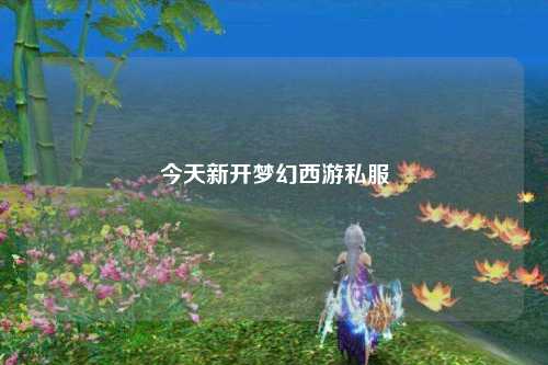 今天新開(kāi)夢(mèng)幻西游私服