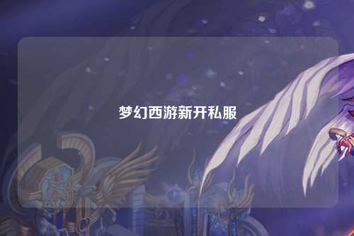 夢(mèng)幻西游新開(kāi)私服