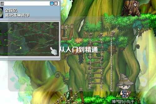 從入門(mén)到精通