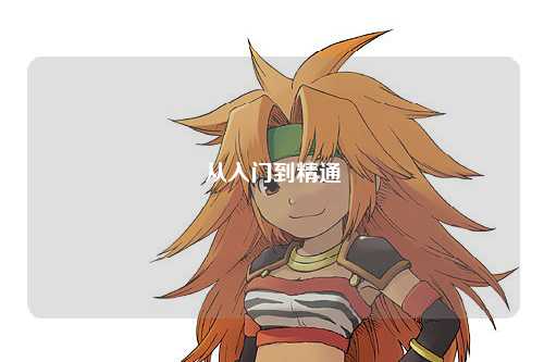 從入門(mén)到精通