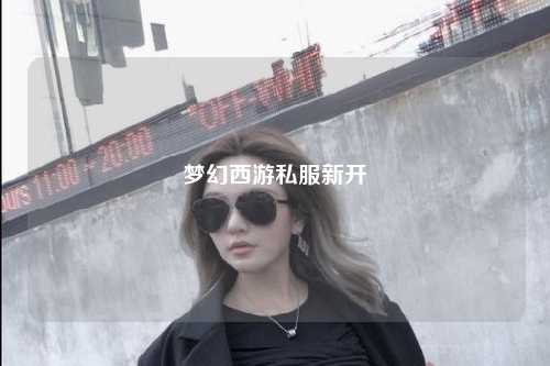 夢(mèng)幻西游私服新開(kāi)