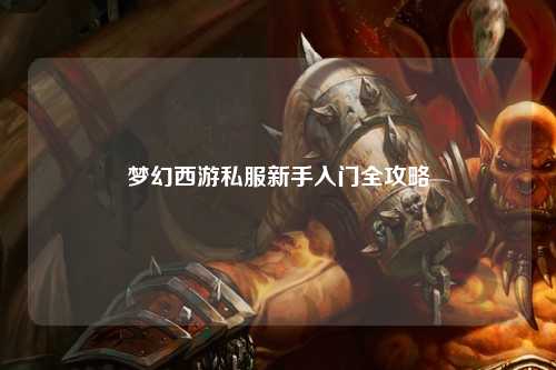 夢(mèng)幻西游私服新手入門(mén)全攻略