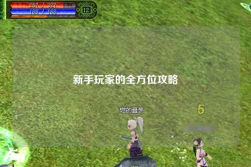 新手玩家的全方位攻略