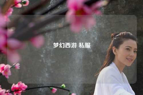 夢(mèng)幻西游 私服