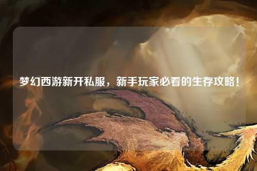 夢(mèng)幻西游新開(kāi)私服，新手玩家必看的生存攻略！