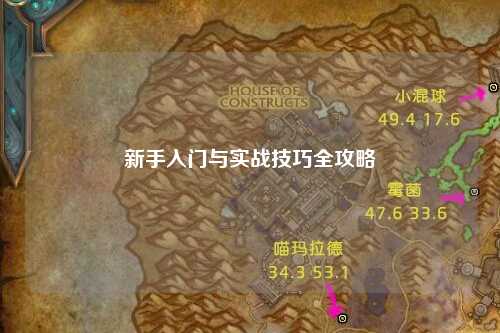 新手入門(mén)與實(shí)戰技巧全攻略